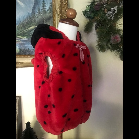1999 Lady Bug Costume 12-24 Months FINAL SALE - Picture 7 of 8